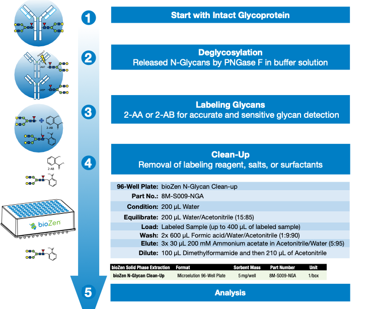 bioZen N-Glycan Workflow Process