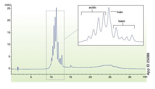 Charge variant profile using pH gradient