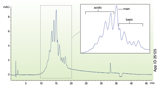 Charge variant profile using salt gradient