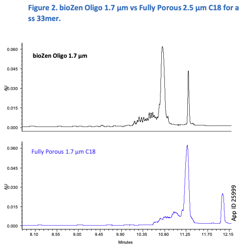 ss 33mer DNA Analysis