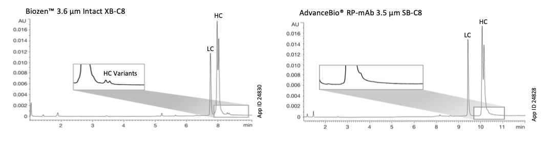 Rituximab Reduced Analysis