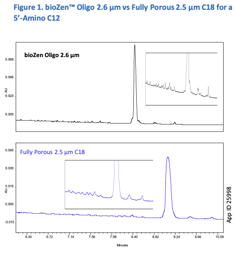 5-Amino C12 Oligo Analysis
