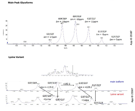 Trastuzumab Native MS TIC Chromatogram
